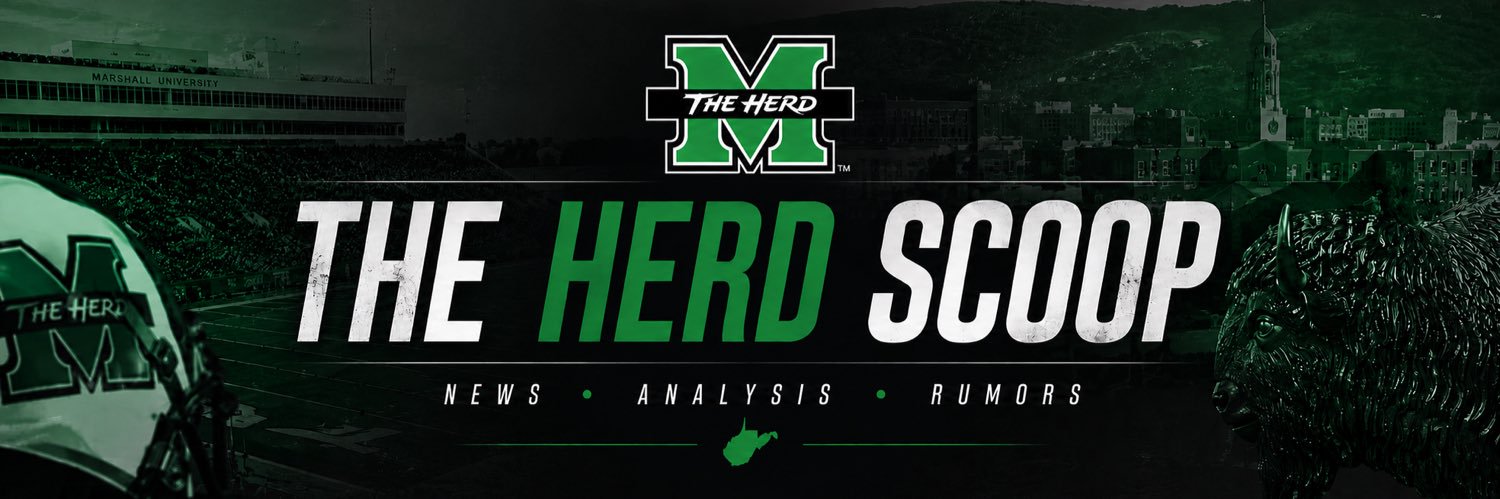The Herd Scoop's banner