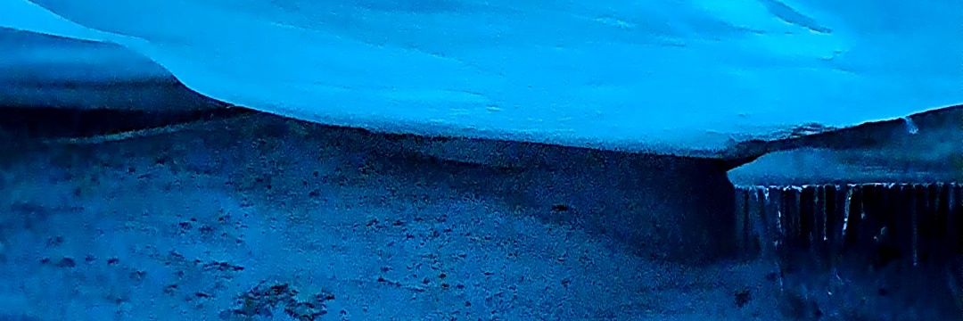 Ariel en polvo's banner