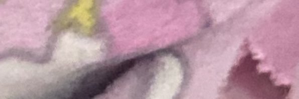 xx's banner
