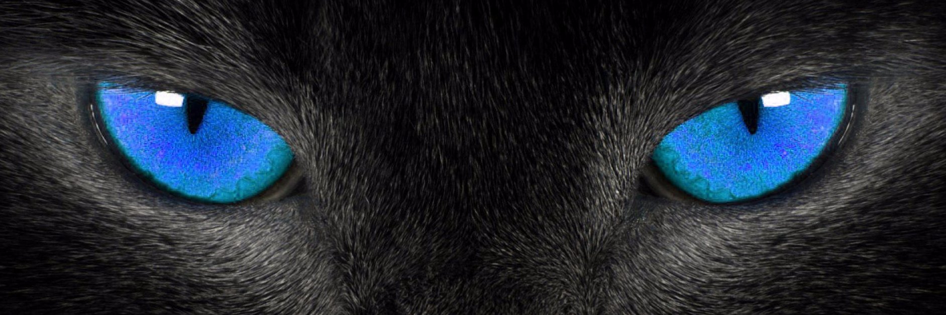 Leopeva64's banner