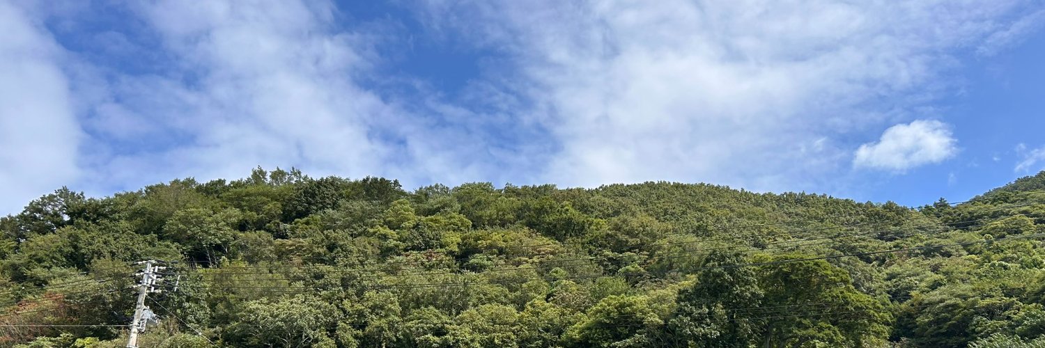 たまのもの's banner