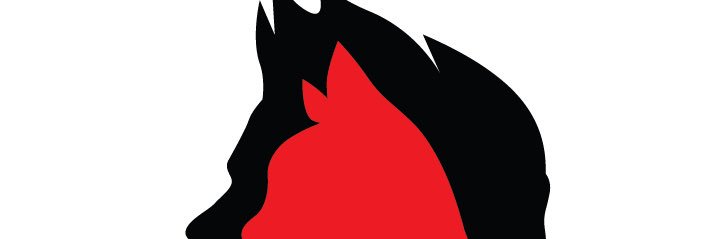 Sean Beckner-Carmitchel's banner