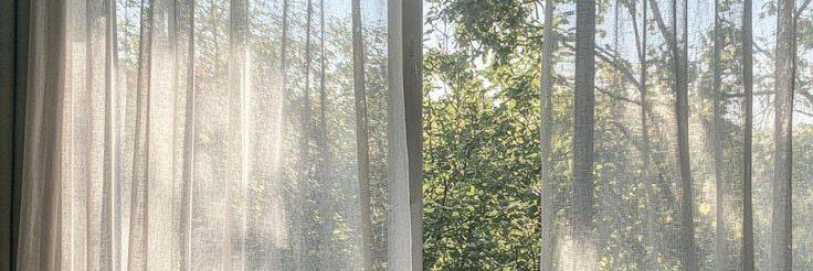 Anneth's banner