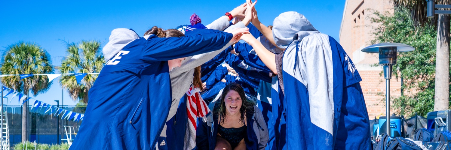 Rice Swimming & Diving's banner