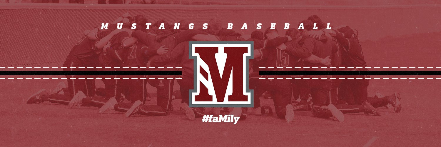 Morningside Baseball's banner