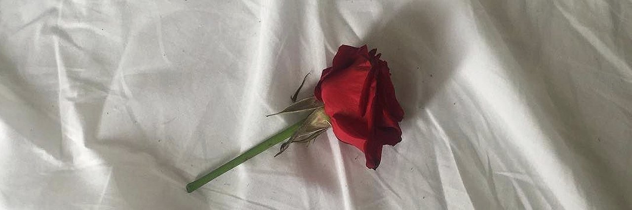 Elle Fanning's banner