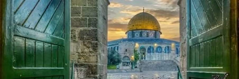 منال بربر manal's banner