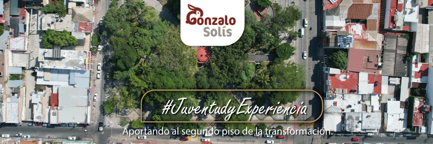 Gonzalo Solís's banner