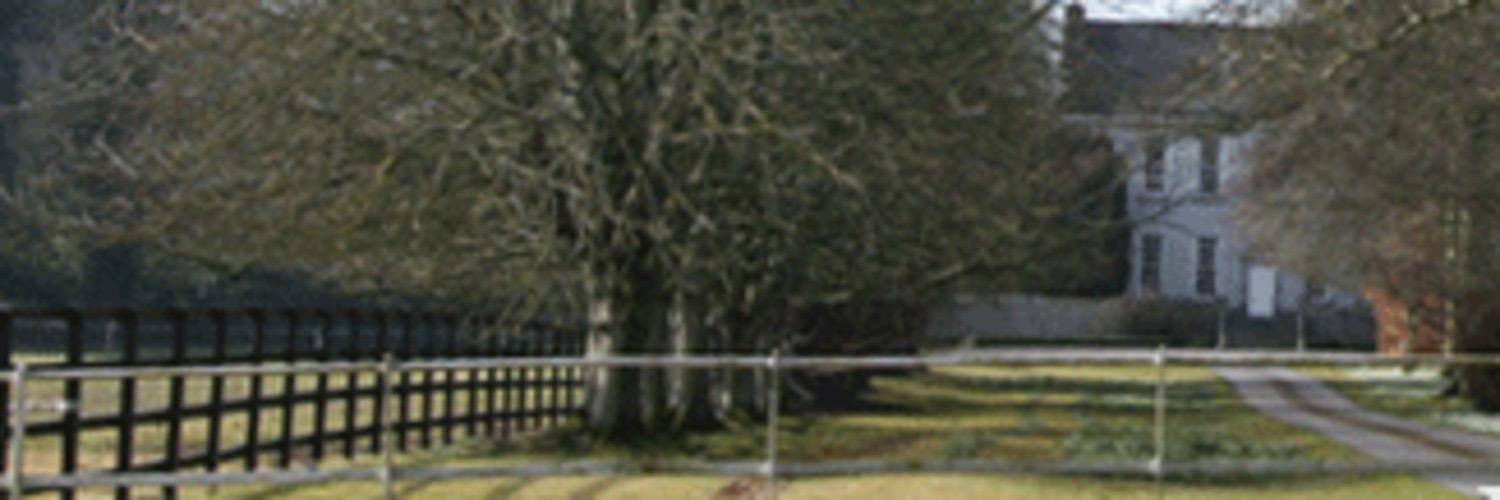 Yeomanstown Stud's banner