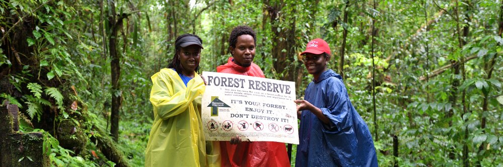 Forestry Department's banner