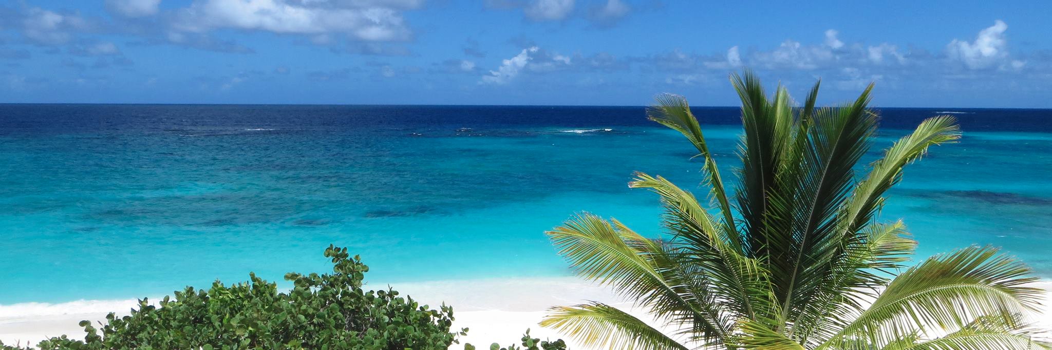 anguillabeaches's banner