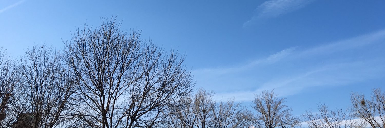 fatwang2's banner
