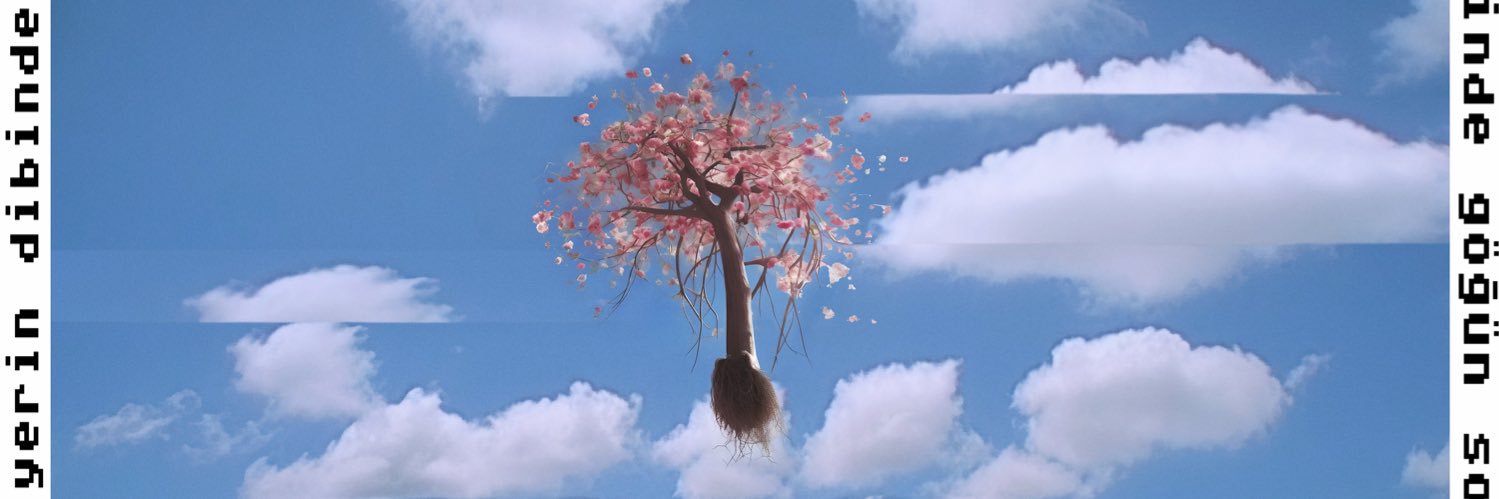 Can Temiz's banner