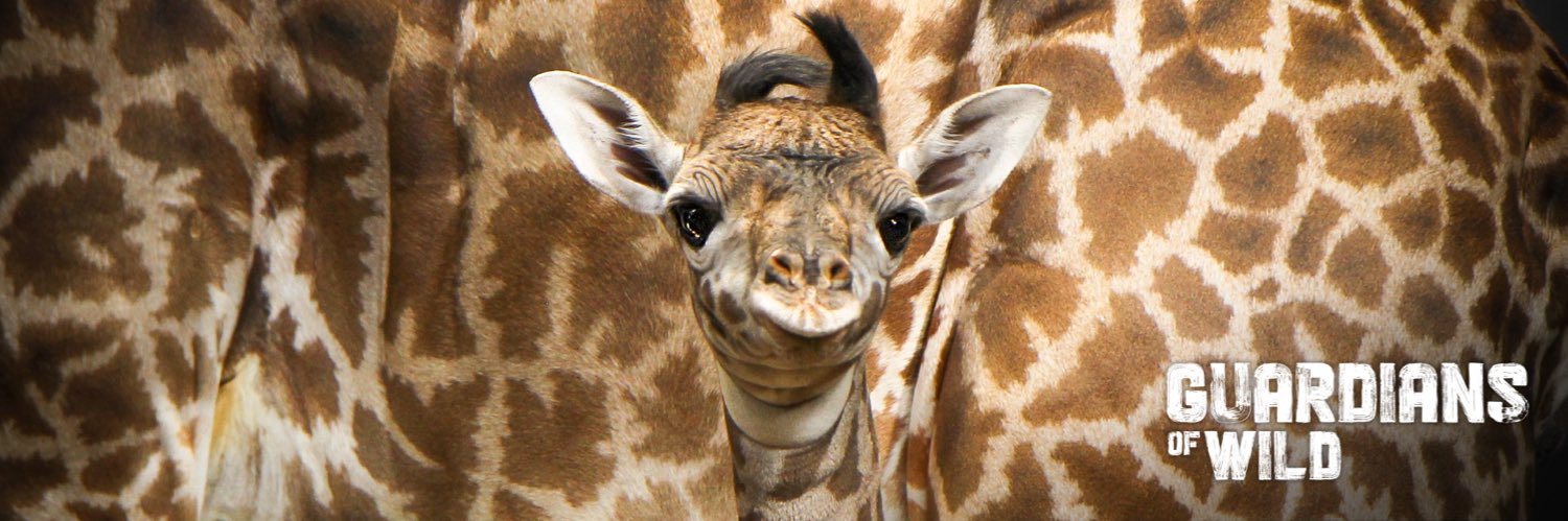 The Toronto Zoo's banner