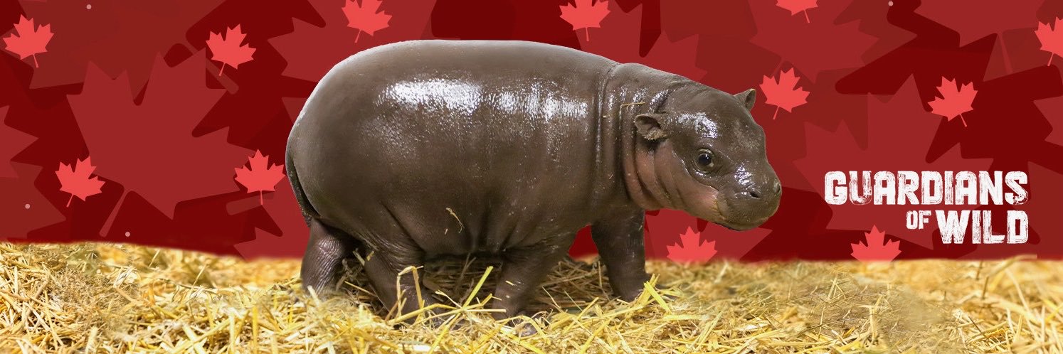 The Toronto Zoo's banner