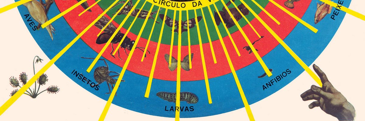 Felipe Orjuela's banner