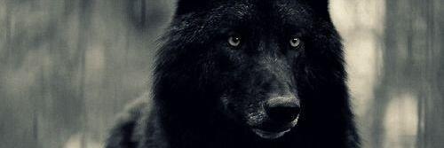 au bout de la nuit's banner