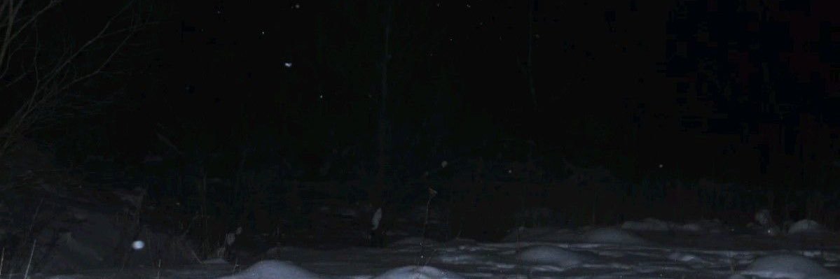 PLUTO's banner