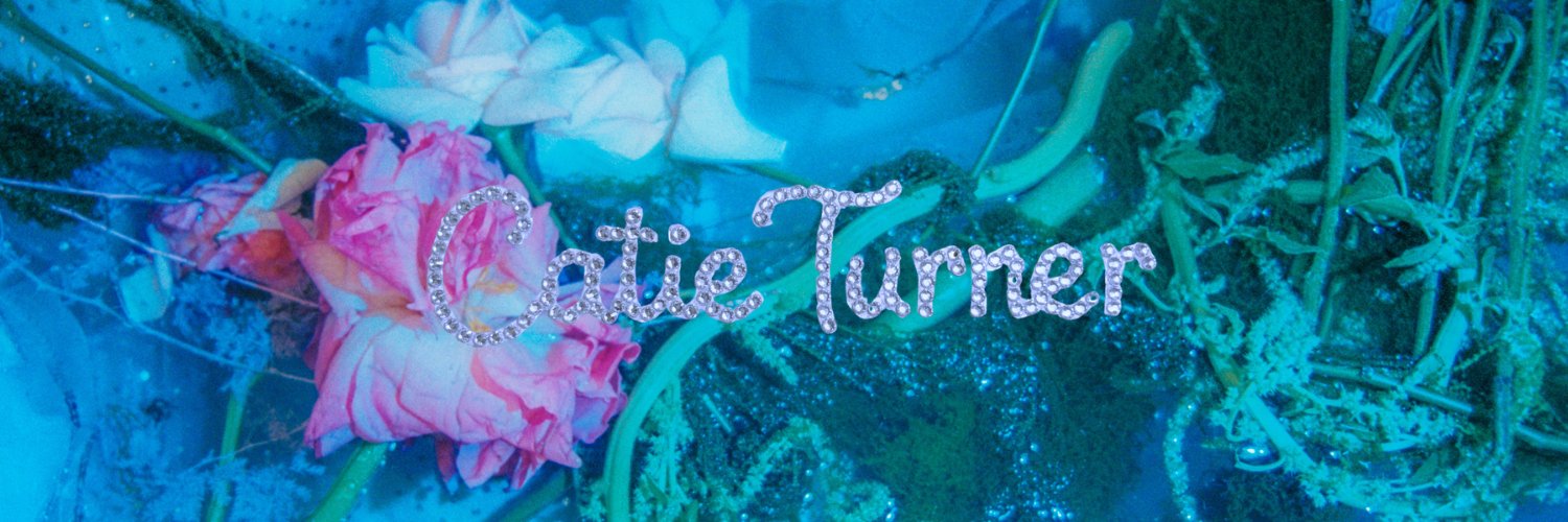 catie turner's banner