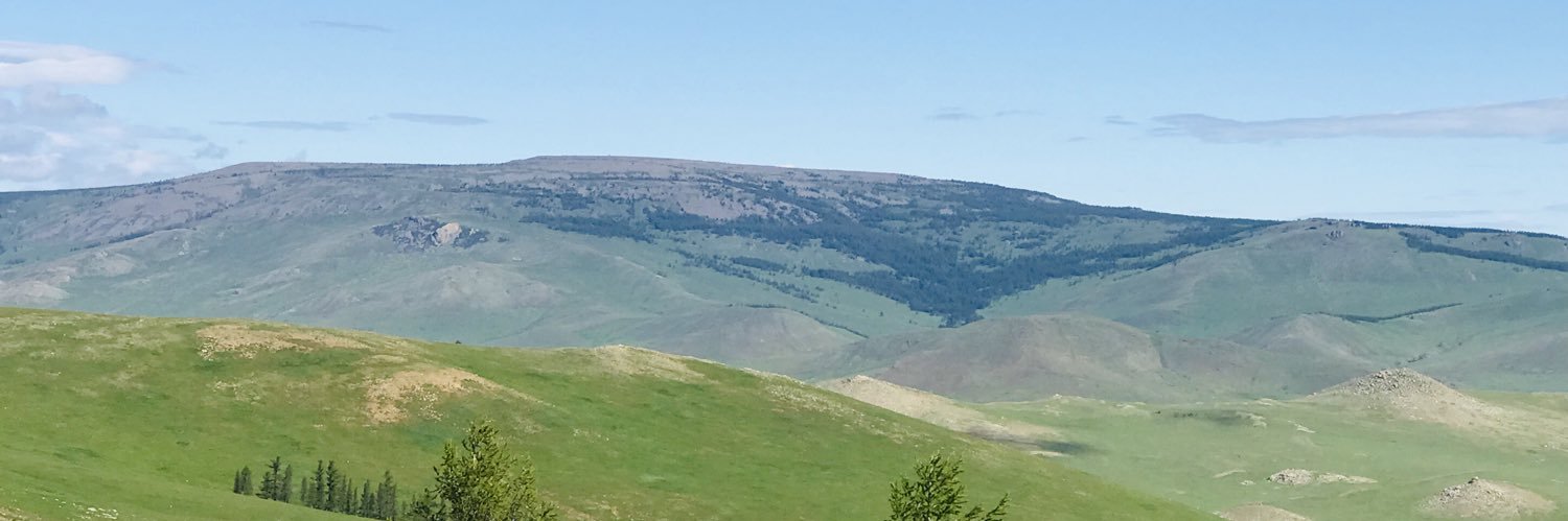 Э. Нармандах's banner