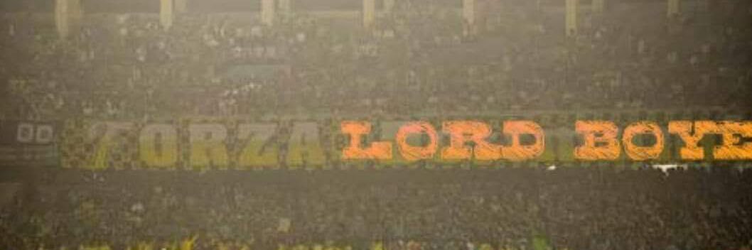 BOYE's banner