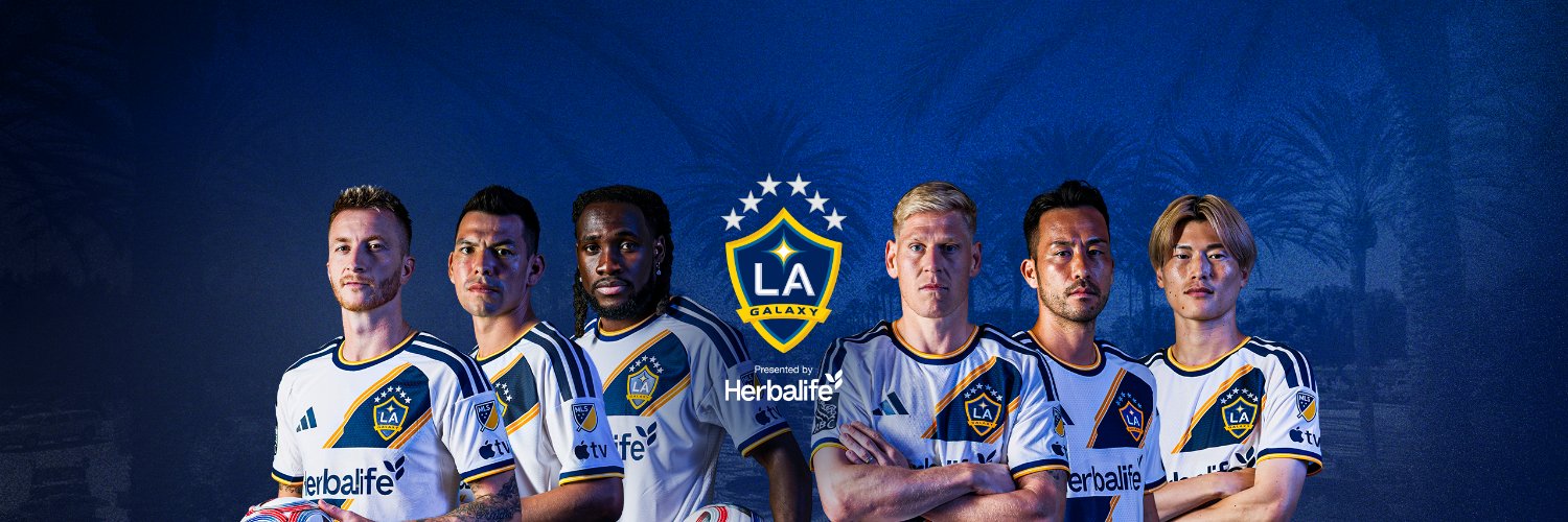 LA Galaxy's banner