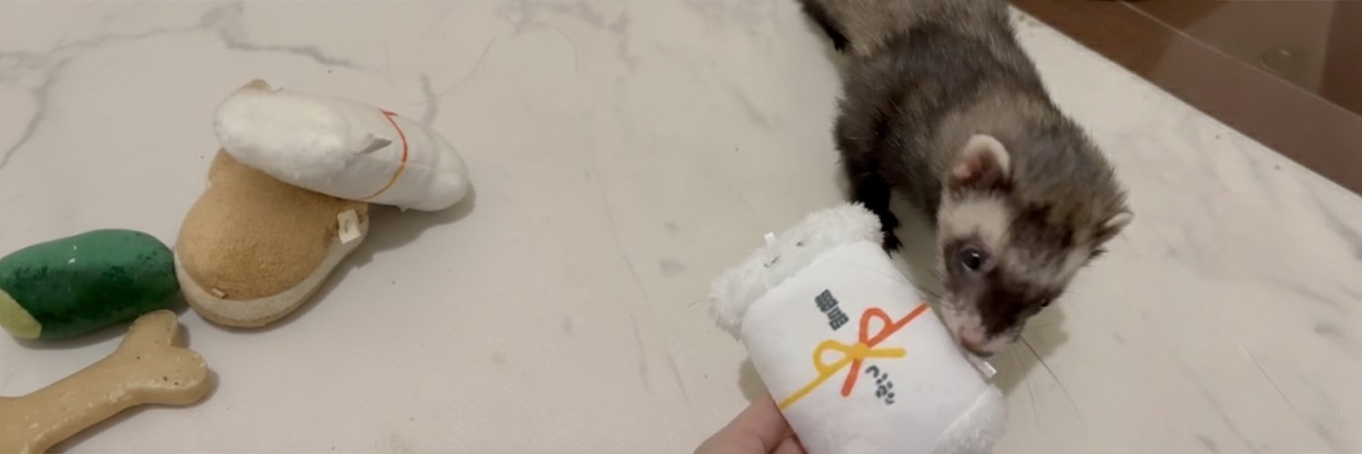一旦めいたん's banner