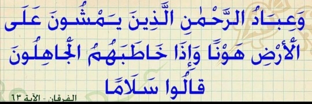 Dr.Hesham Almadani / هشام المدني's banner