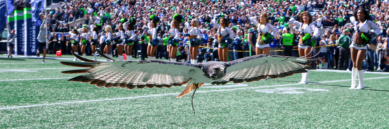 Taima the Hawk's banner