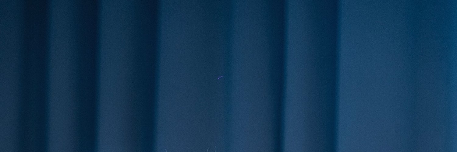 💅 arrya 💅's banner
