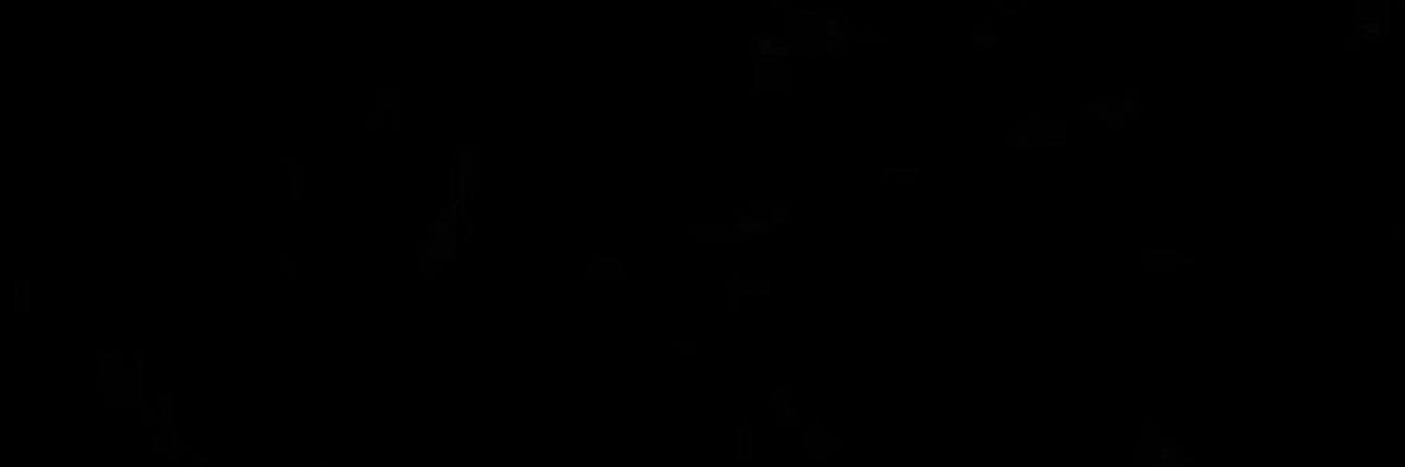 Iris's banner