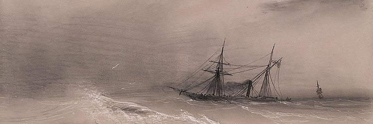 Selene Rozzano's banner