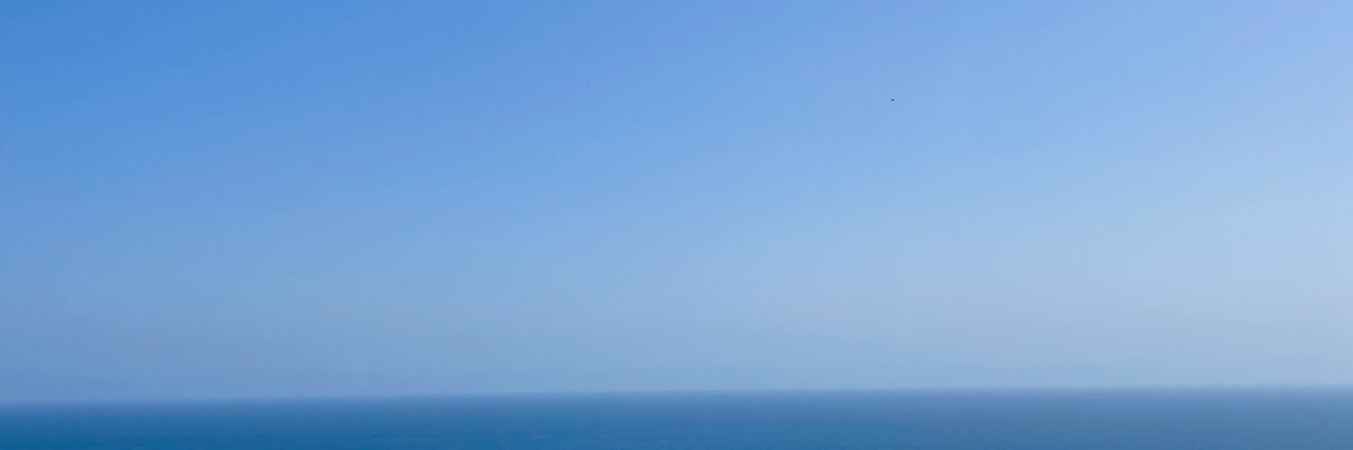 Jen Selter's banner