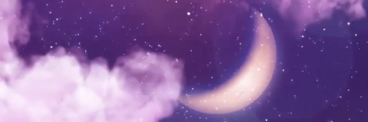 りさ子's banner