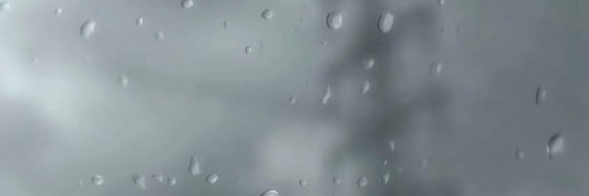 小龙包's banner