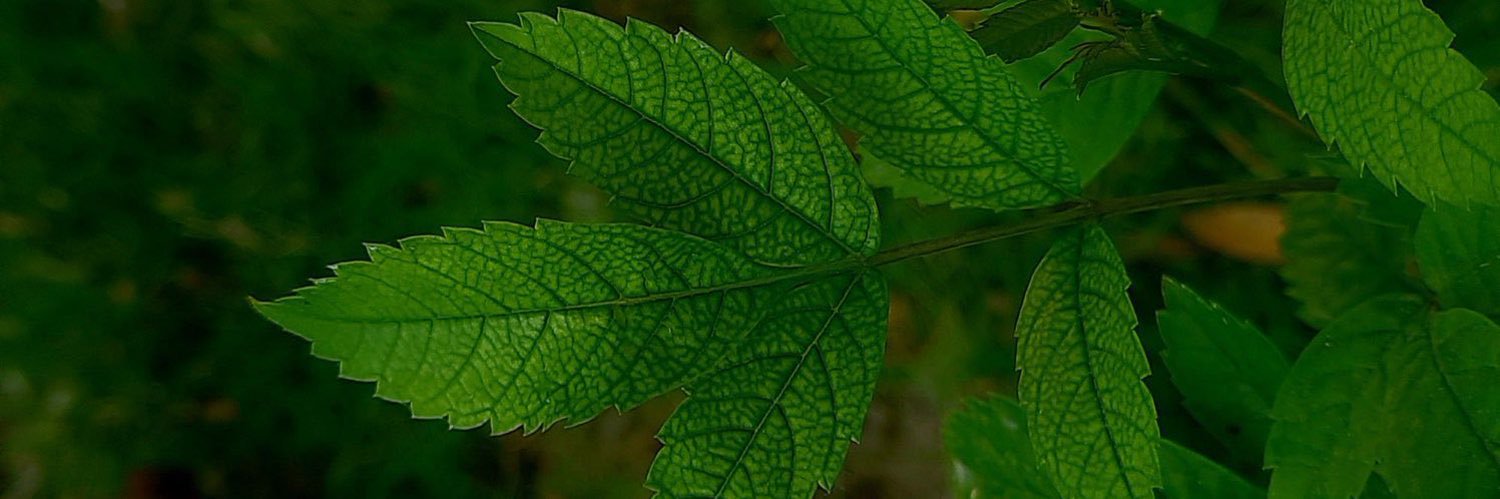 أذكار - 🌧️🌿's banner