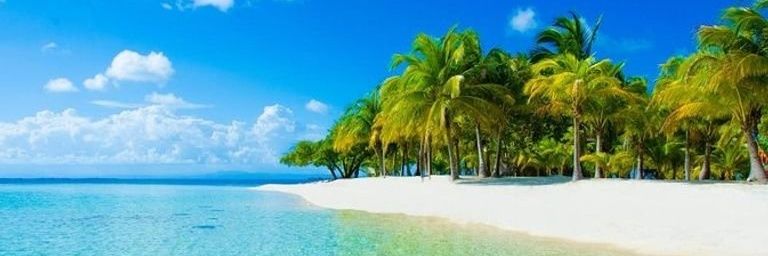علي حاتم's banner