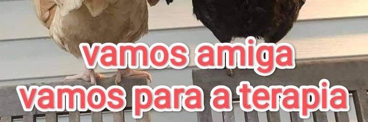 Kimi's banner