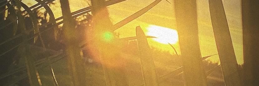 Ju 🧚‍♀️'s banner