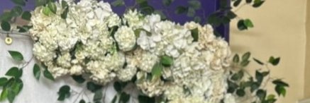 مارينا's banner