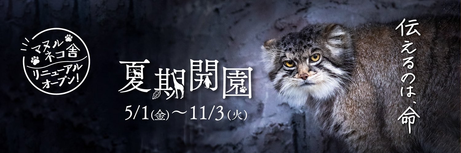 旭川市旭山動物園［公式］'s banner