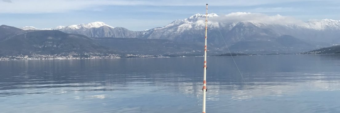 Miodrag Laković's banner