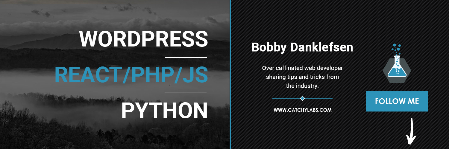 Bobby Danklefsen - Catchy Labs 👨‍💻✍️'s banner