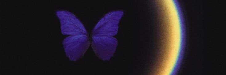www's banner