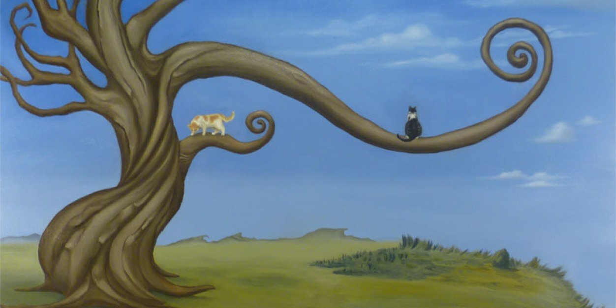 Day mazariegos's banner