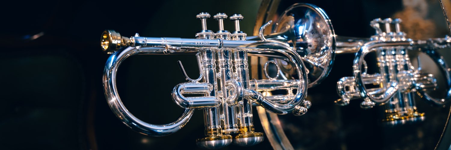うどん🎺's banner
