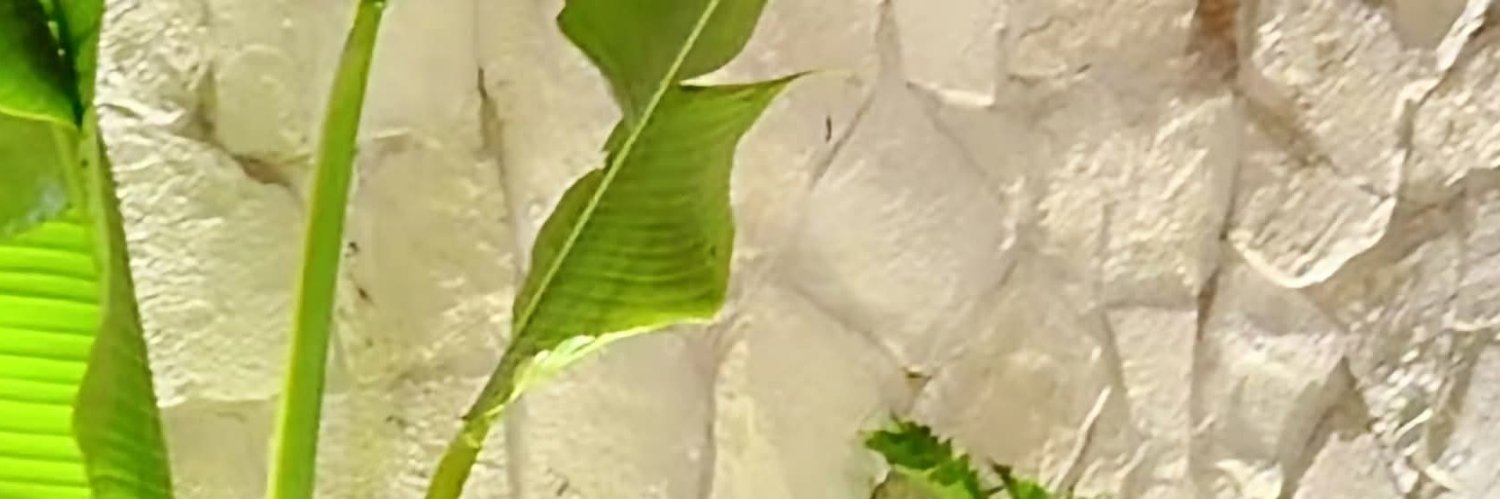 ༺ديانہٰ༻'s banner