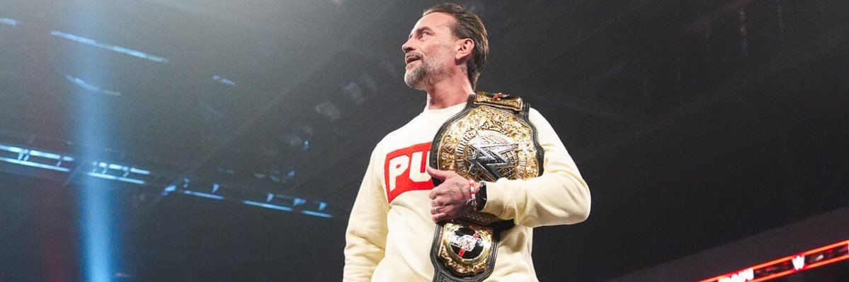 CM Punk's banner