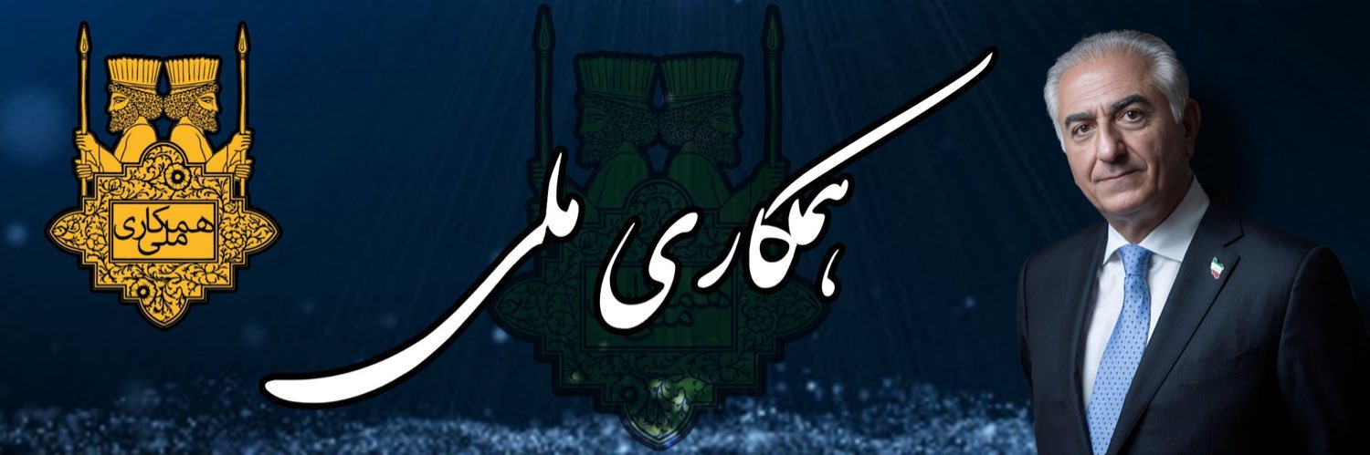 Neda Mansourani's banner