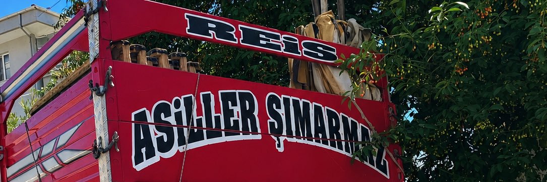 mansur rüzgardelen's banner